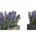 Planta Decorativa DKD Home Decor Madeira Polietileno 32 x 14 x 19,5 cm (2 Unidades)