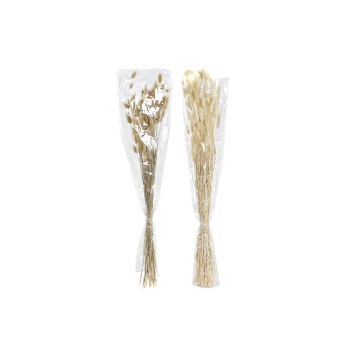 Mazzo DKD Home Decor Beige Marrone Fiore secco (12 x 12 x 76 cm) (2 Unità)