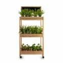 Regal Ibergarden 3 Regale 41 x 159 x 69 cm