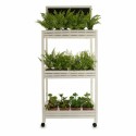 Regal Ibergarden 3 Regale 41 x 159 x 69 cm