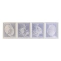 Pintura DKD Home Decor Cristal Concha 50 x 2 x 60 cm 50 x 60 x 2,5 cm (4 Peças)