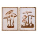 Quadro DKD Home Decor Cristallo 50 x 70 x 2,8 cm 50 x 2,8 x 70 cm Funghi (2 Unità)