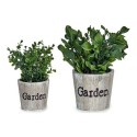 Pianta Decorativa Ibergarden XD16-710 Plastica 16 x 22 x 16 cm