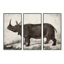 Pintura DKD Home Decor Colonial Rinoceronte (180 x 4 x 120 cm)