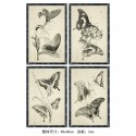Quadro DKD Home Decor 40 x 2,8 x 60 cm 40 x 60 x 2.8 cm Farfalle Cottage (4 Pezzi)