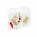 Portavelas DKD Home Decor Flor seca 8 x 8 x 11 cm Cristal Beige Granate (2 Unidades)