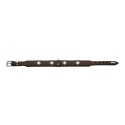 Dog collar Hunter Swiss 35-39.5 cm
