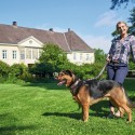 Coleira para Cães Hunter Swiss 38-43.5 cm