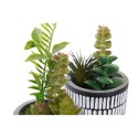 Plante décorative DKD Home Decor Céramique Noir Polyéthylène Blanc Vert (7 x 7 x 19 cm) (2 Unités)