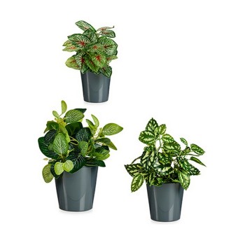 Set di Vasi Ibergarden LINCE PQ - 7011 Antracite Argilla (6 Unità)