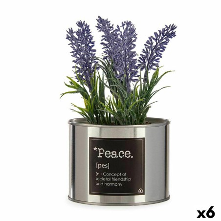 Pianta Decorativa Ibergarden Metallo Plastica Lattina Lavanda 10 x 18 x 10 cm (6 Unità) Pianta Decorativa Ibergarden Metallo Plastica Lattina Lavanda 10 x 18 x 10 cm (6 Unità)