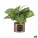 Pianta Decorativa Ibergarden Home Metallo Plastica Lattina 26 x 26 x 26 cm Rame (6 Unità)