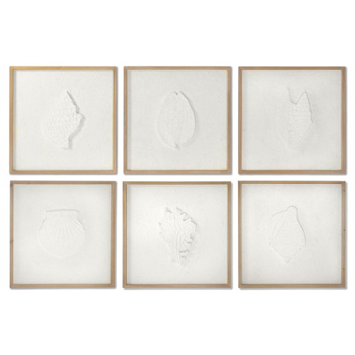 Bild DKD Home Decor Muscheln 50 x 2 x 50 cm Mediterraner (6 Stücke)