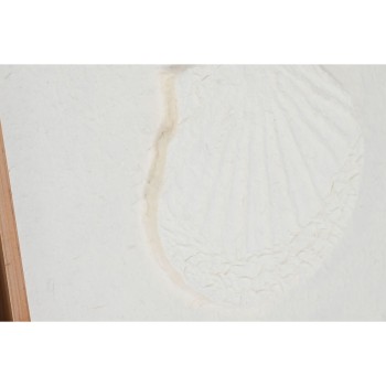 Bild DKD Home Decor Muscheln 50 x 2 x 50 cm Mediterraner (6 Stücke)