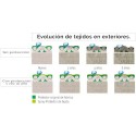Detergente Limpieza 750 ml Tessile Antimacchia