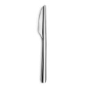 Conjunto de Facas Amefa Ecologic Slim Metal Aço (12 Unidades)