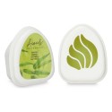 Conjunto de Ambientadores Acorde MINIG-BAMBOO Bambu 50 g (12 Unidades)