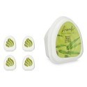 Conjunto de Ambientadores Acorde MINIG-BAMBOO Bambu 50 g (12 Unidades)
