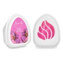 Conjunto de Ambientadores Acorde MINIG-ORCHID Orquídea 50 g (12 Unidades)
