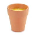 Vela Ibergarden HL-WG80C Citronela (12 Unidades)