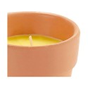 Vela Ibergarden HL-WG80C Citronela (12 Unidades)