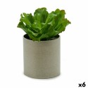 Decorative Plant Ibergarden YC181588 20 x 25 x 20 cm (6 Units)
