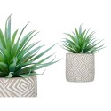 Planta Decorativa Ibergarden QY-H012 Madeira Plástico Cimento Suculenta 17 x 21 x 17 cm (8 Unidades)