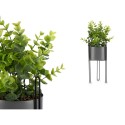 Dekorationspflanze Ibergarden QY-H096 Metall Kunststoff Eukalyptusbaum 14 x 40 x 14 cm (8 Stück)