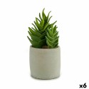 Pianta Decorativa Ibergarden YCX17941 Plastica Succulenta 12 x 24 x 12 cm (6 Unità)