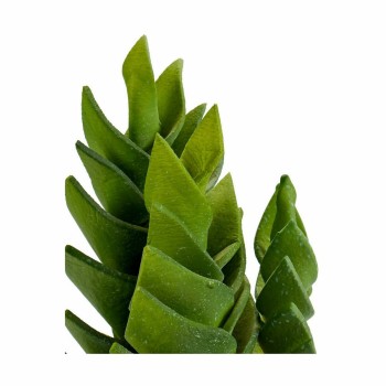 Pianta Decorativa Ibergarden YCX17941 Plastica Succulenta 12 x 24 x 12 cm (6 Unità)