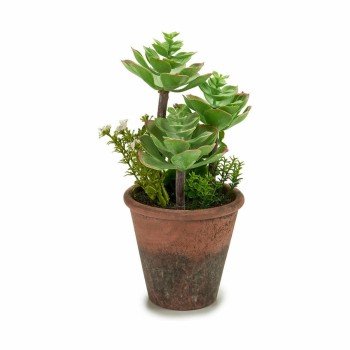 Decorative Plant Ibergarden XD16-849 Plastic Succulent 16 x 23 x 16 cm (12 Units)