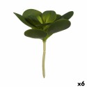 Pianta Decorativa Ibergarden YD180205 Plastica Fogli Rotonda 18 x 23 x 18 cm (6 Unità)