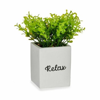 Pianta Decorativa Ibergarden HY2-39 Plastica Cemento Fogli Piccola 13 x 18 x 13 cm (6 Unità)