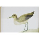 Cuadro DKD Home Decor Pájaros Cottage 30 x 2 x 30 cm (6 Unidades)