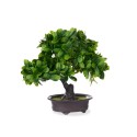 Dekorationspflanze Ibergarden XD19-1395B Kunststoff Bonsai 27 x 28 x 14 cm (8 Stück)