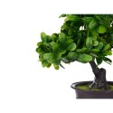 Dekorationspflanze Ibergarden XD19-1395B Kunststoff Bonsai 27 x 28 x 14 cm (8 Stück)