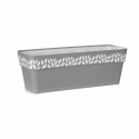 Planter Stefanplast Cloe Grey Plastic 49,5 x 17 x 19 cm (12 Units)