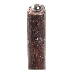Gioco di Legno DKD Home Decor Marrone Verde polipropilene Plastica 9,5 x 9,5 x 15,5 cm