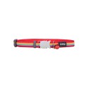 Collar para Perro Red Dingo STYLE RAINBOW 31-47 cm