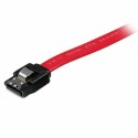 Cabo SATA Startech LSATA24             
