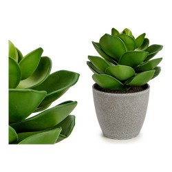 Planta Decorativa Ibergarden YC1814571 Plástico 16 x 21 x 16 cm Gris
