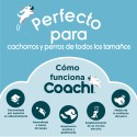 Haltere Coachi TRAINING DUMBBELL 12 Plástico
