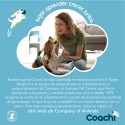 Trela para Cães Coachi Azul Treino