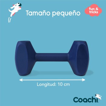 Haltere Coachi TRAINING DUMBBELL Azul