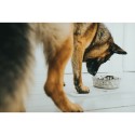 Comedouro para Cão Hunter Silicone Aço inoxidável 1,75 L