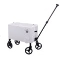 Frigorífico Portátil Fresh Branco Metal Aço Polipropileno 66 x 35 x 60 cm