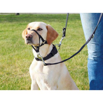 Imbracatura guida per cane Trixie Top Trainer Nero XL