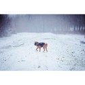 Arnês para Cães Julius K9 IDC L/XL 2