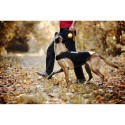 Arnês para Cães Julius K9 IDC L/XL 2