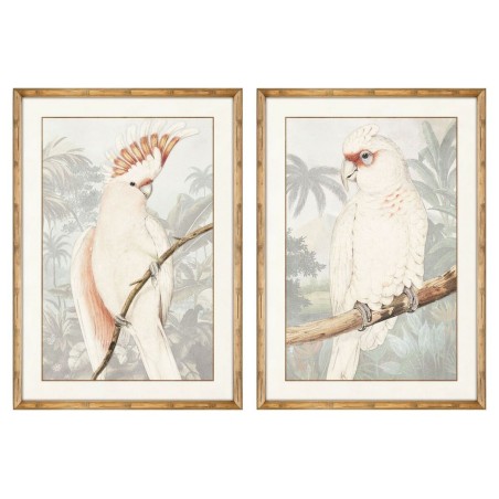 Cadre DKD Home Decor Perroquet Tropical 50 x 3 x 70 cm (2 Unités) Cadre DKD Home Decor Perroquet Tropical 50 x 3 x 70 cm (2 Unités)